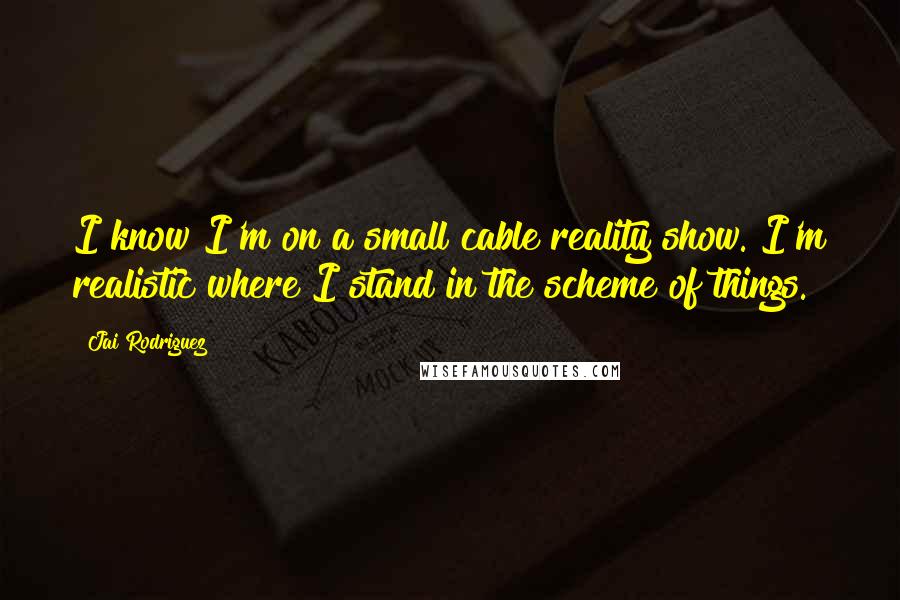 Jai Rodriguez Quotes: I know I'm on a small cable reality show. I'm realistic where I stand in the scheme of things.