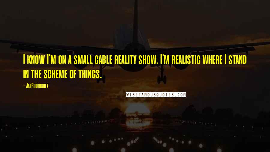 Jai Rodriguez Quotes: I know I'm on a small cable reality show. I'm realistic where I stand in the scheme of things.