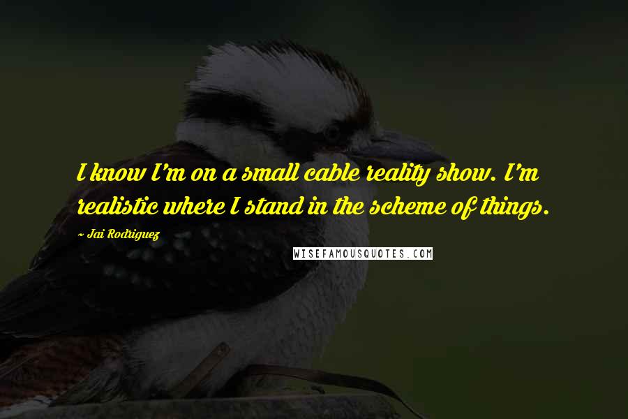Jai Rodriguez Quotes: I know I'm on a small cable reality show. I'm realistic where I stand in the scheme of things.
