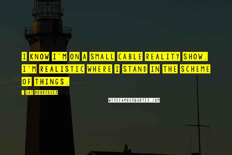 Jai Rodriguez Quotes: I know I'm on a small cable reality show. I'm realistic where I stand in the scheme of things.