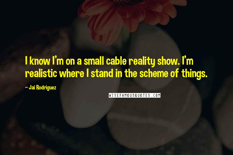Jai Rodriguez Quotes: I know I'm on a small cable reality show. I'm realistic where I stand in the scheme of things.