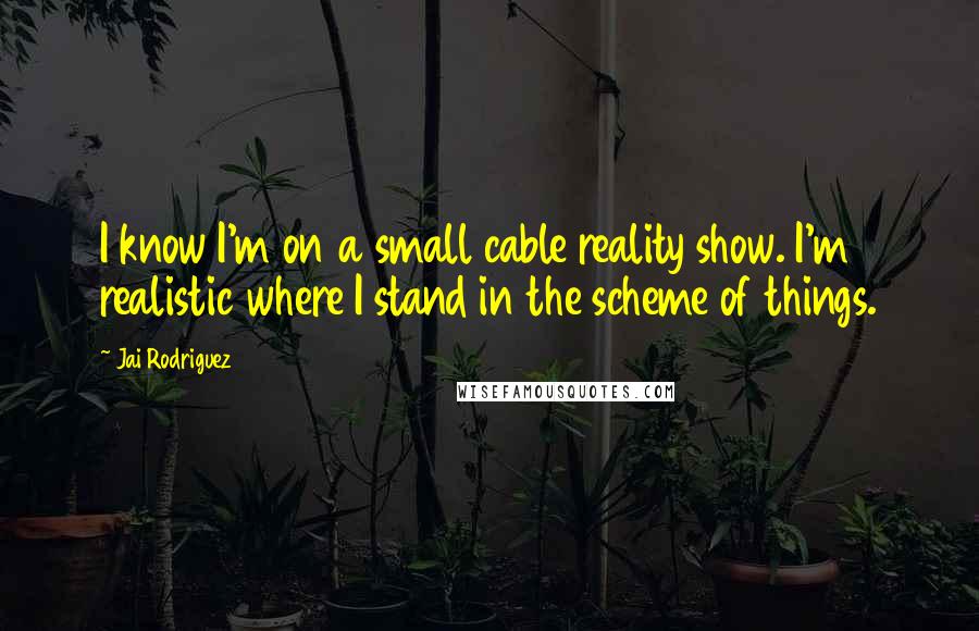 Jai Rodriguez Quotes: I know I'm on a small cable reality show. I'm realistic where I stand in the scheme of things.