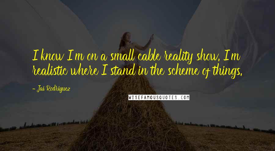 Jai Rodriguez Quotes: I know I'm on a small cable reality show. I'm realistic where I stand in the scheme of things.