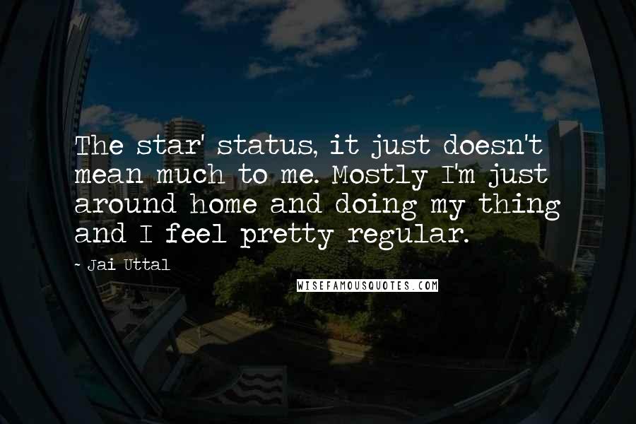 Jai Uttal Quotes: The star' status, it just doesn't mean much to me. Mostly I'm just around home and doing my thing and I feel pretty regular.