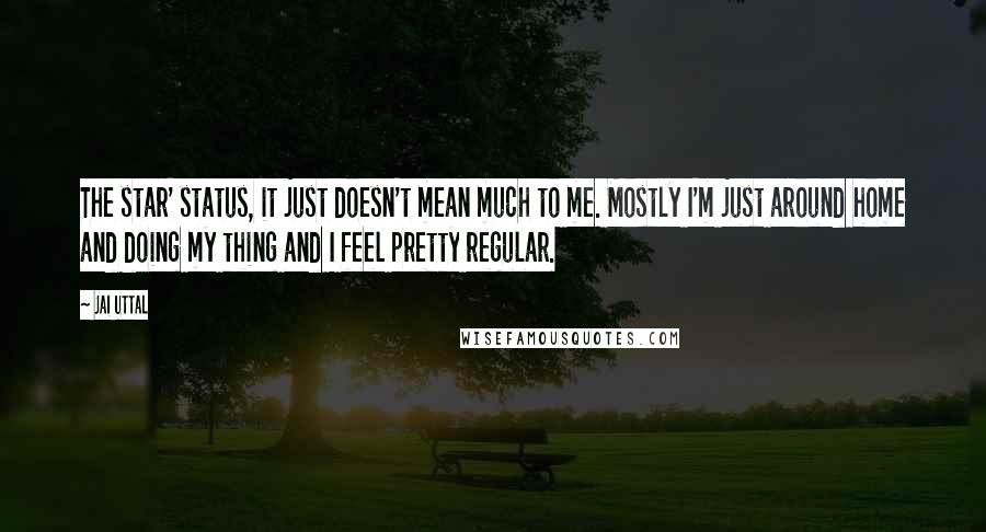 Jai Uttal Quotes: The star' status, it just doesn't mean much to me. Mostly I'm just around home and doing my thing and I feel pretty regular.