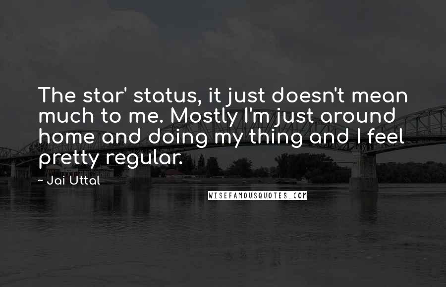 Jai Uttal Quotes: The star' status, it just doesn't mean much to me. Mostly I'm just around home and doing my thing and I feel pretty regular.