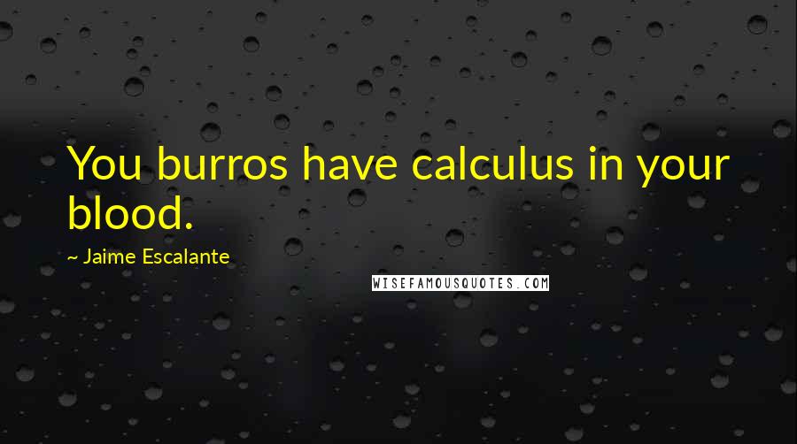 Jaime Escalante Quotes: You burros have calculus in your blood.