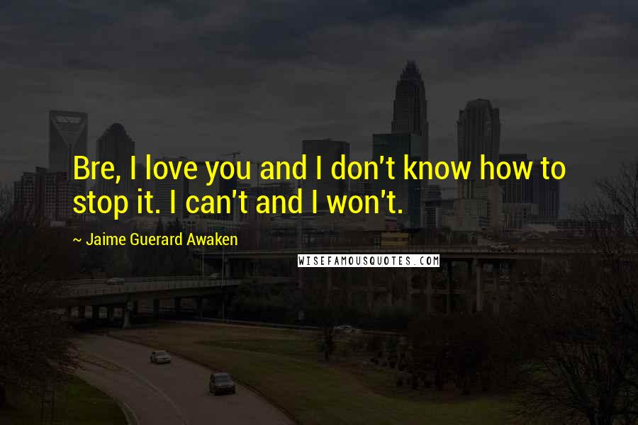 Jaime Guerard Awaken Quotes: Bre, I love you and I don't know how to stop it. I can't and I won't.