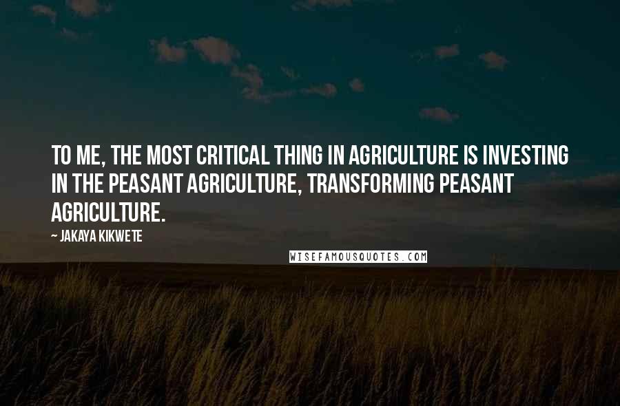 Jakaya Kikwete Quotes: To me, the most critical thing in agriculture is investing in the peasant agriculture, transforming peasant agriculture.