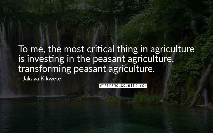 Jakaya Kikwete Quotes: To me, the most critical thing in agriculture is investing in the peasant agriculture, transforming peasant agriculture.