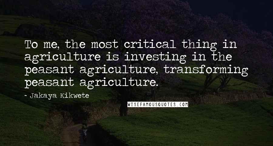 Jakaya Kikwete Quotes: To me, the most critical thing in agriculture is investing in the peasant agriculture, transforming peasant agriculture.