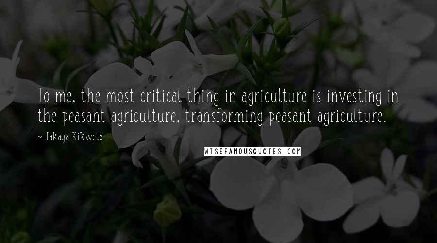 Jakaya Kikwete Quotes: To me, the most critical thing in agriculture is investing in the peasant agriculture, transforming peasant agriculture.