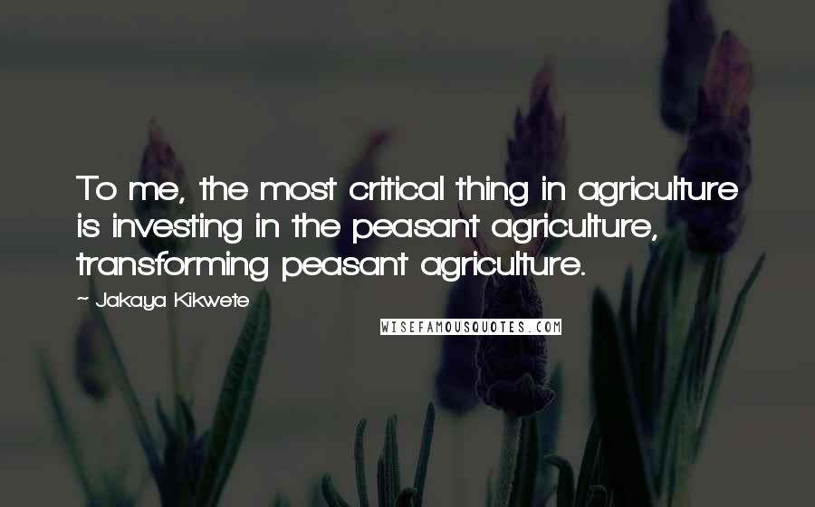 Jakaya Kikwete Quotes: To me, the most critical thing in agriculture is investing in the peasant agriculture, transforming peasant agriculture.