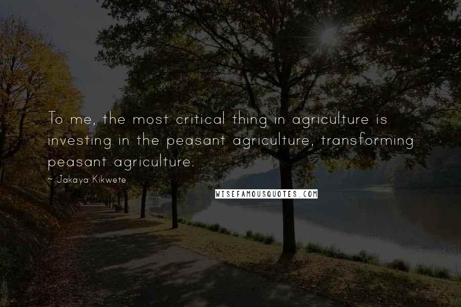 Jakaya Kikwete Quotes: To me, the most critical thing in agriculture is investing in the peasant agriculture, transforming peasant agriculture.