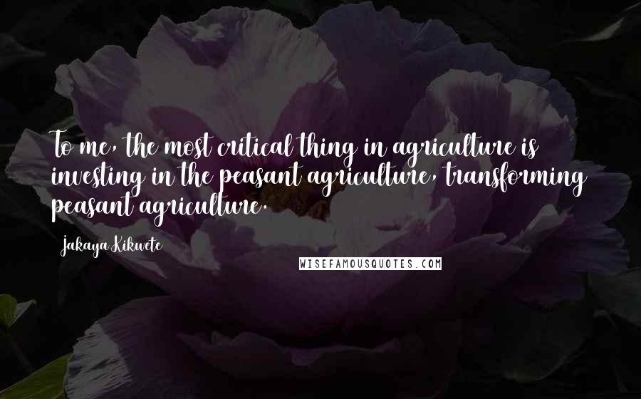 Jakaya Kikwete Quotes: To me, the most critical thing in agriculture is investing in the peasant agriculture, transforming peasant agriculture.