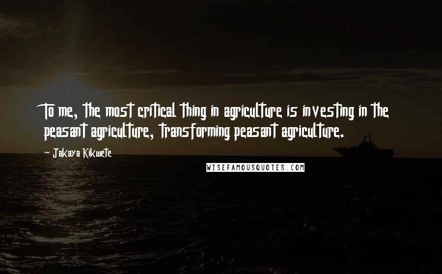 Jakaya Kikwete Quotes: To me, the most critical thing in agriculture is investing in the peasant agriculture, transforming peasant agriculture.