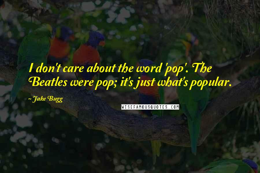 Jake Bugg Quotes: I don't care about the word 'pop'. The Beatles were pop; it's just what's popular.