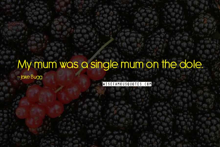 Jake Bugg Quotes: My mum was a single mum on the dole.