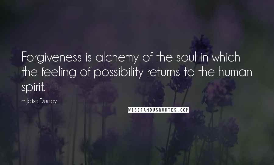 Jake Ducey Quotes: Forgiveness is alchemy of the soul in which the feeling of possibility returns to the human spirit.