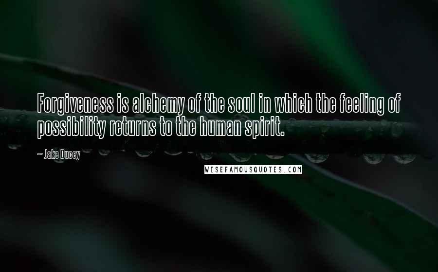 Jake Ducey Quotes: Forgiveness is alchemy of the soul in which the feeling of possibility returns to the human spirit.