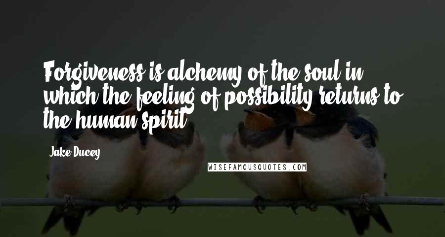 Jake Ducey Quotes: Forgiveness is alchemy of the soul in which the feeling of possibility returns to the human spirit.