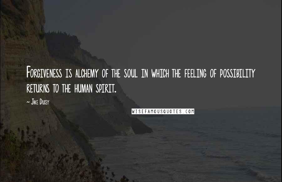 Jake Ducey Quotes: Forgiveness is alchemy of the soul in which the feeling of possibility returns to the human spirit.