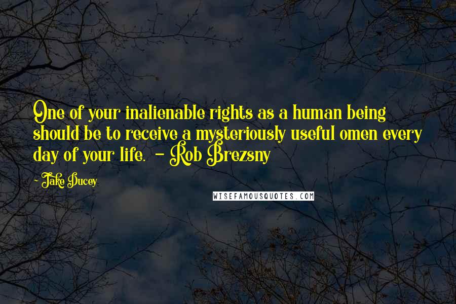 Jake Ducey Quotes: One of your inalienable rights as a human being should be to receive a mysteriously useful omen every day of your life.  - Rob Brezsny