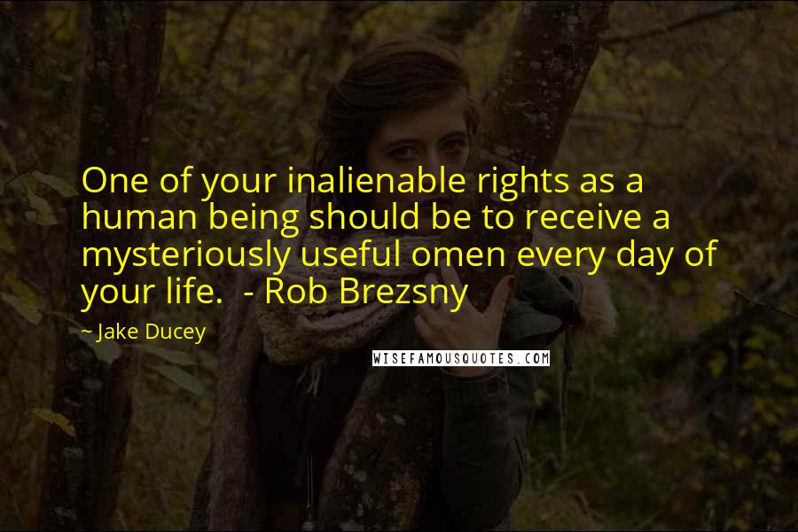 Jake Ducey Quotes: One of your inalienable rights as a human being should be to receive a mysteriously useful omen every day of your life.  - Rob Brezsny