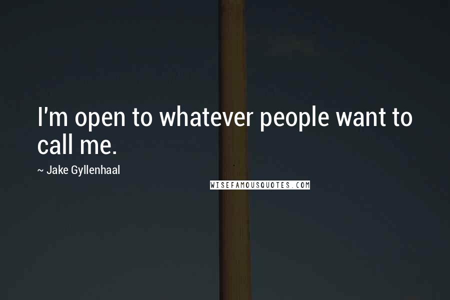 Jake Gyllenhaal Quotes: I'm open to whatever people want to call me.