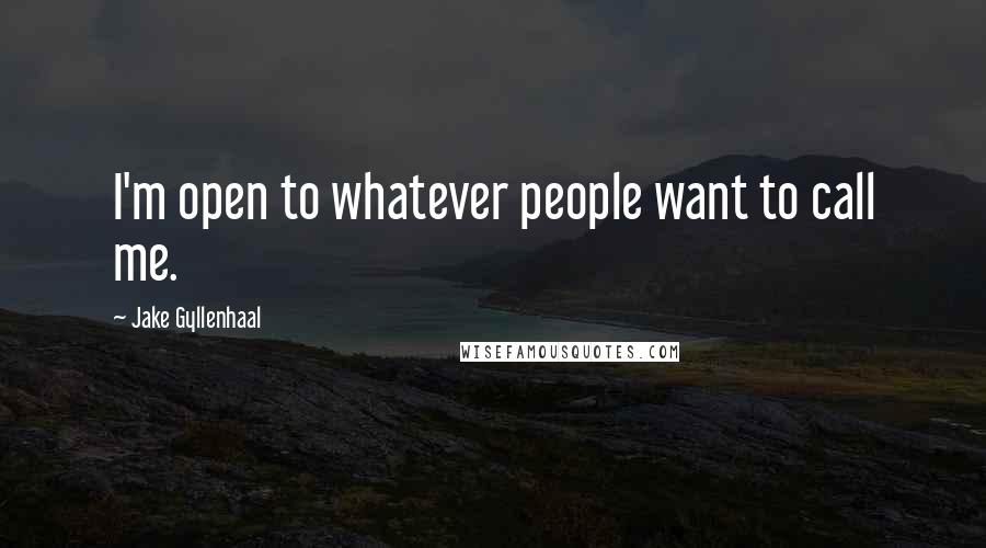 Jake Gyllenhaal Quotes: I'm open to whatever people want to call me.