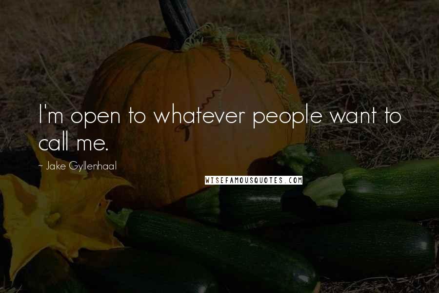 Jake Gyllenhaal Quotes: I'm open to whatever people want to call me.