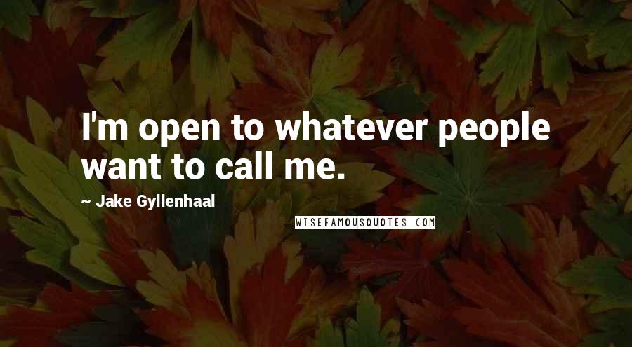 Jake Gyllenhaal Quotes: I'm open to whatever people want to call me.