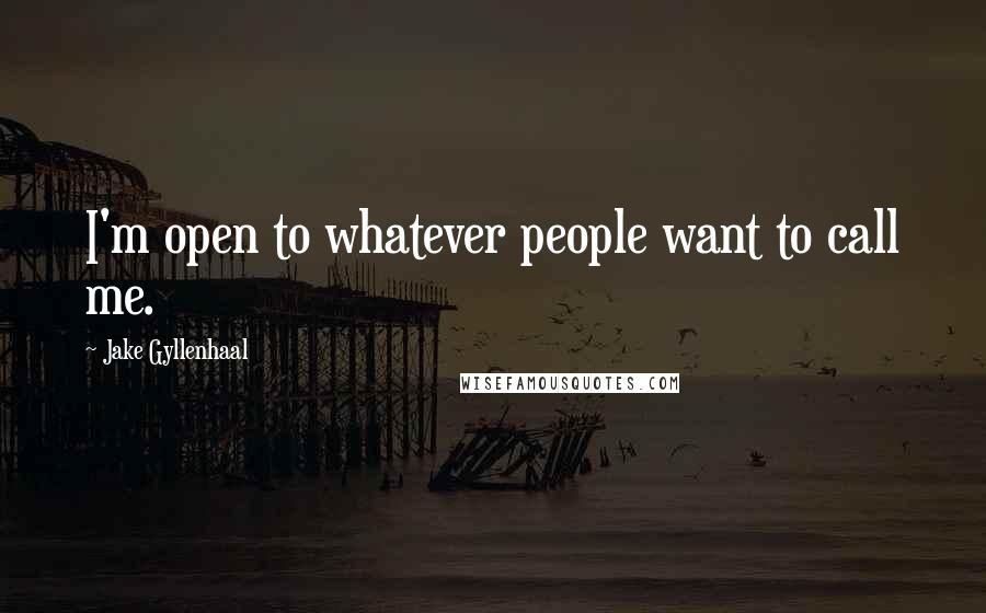 Jake Gyllenhaal Quotes: I'm open to whatever people want to call me.