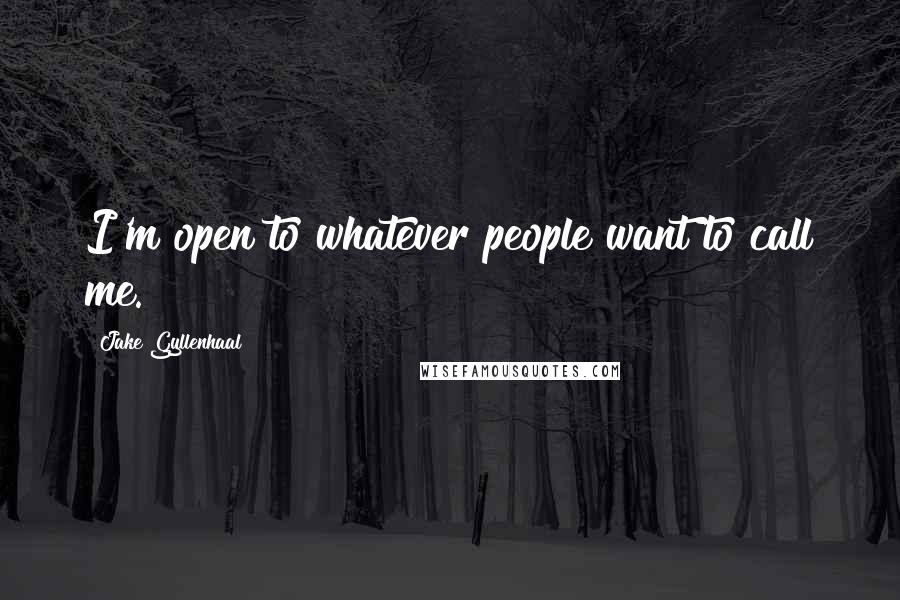 Jake Gyllenhaal Quotes: I'm open to whatever people want to call me.