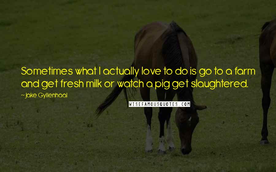 Jake Gyllenhaal Quotes: Sometimes what I actually love to do is go to a farm and get fresh milk or watch a pig get slaughtered.