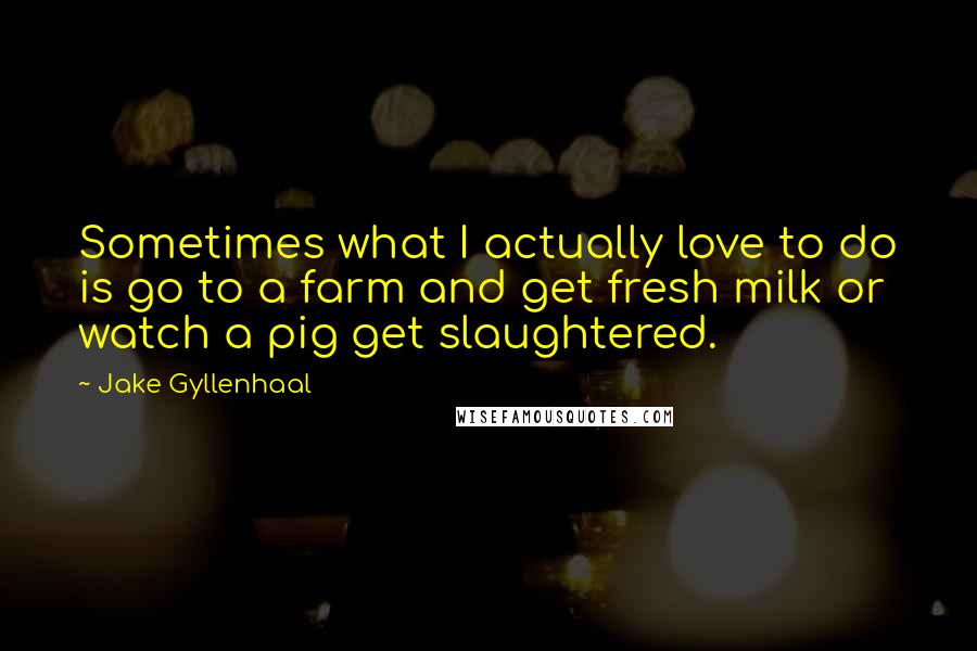 Jake Gyllenhaal Quotes: Sometimes what I actually love to do is go to a farm and get fresh milk or watch a pig get slaughtered.