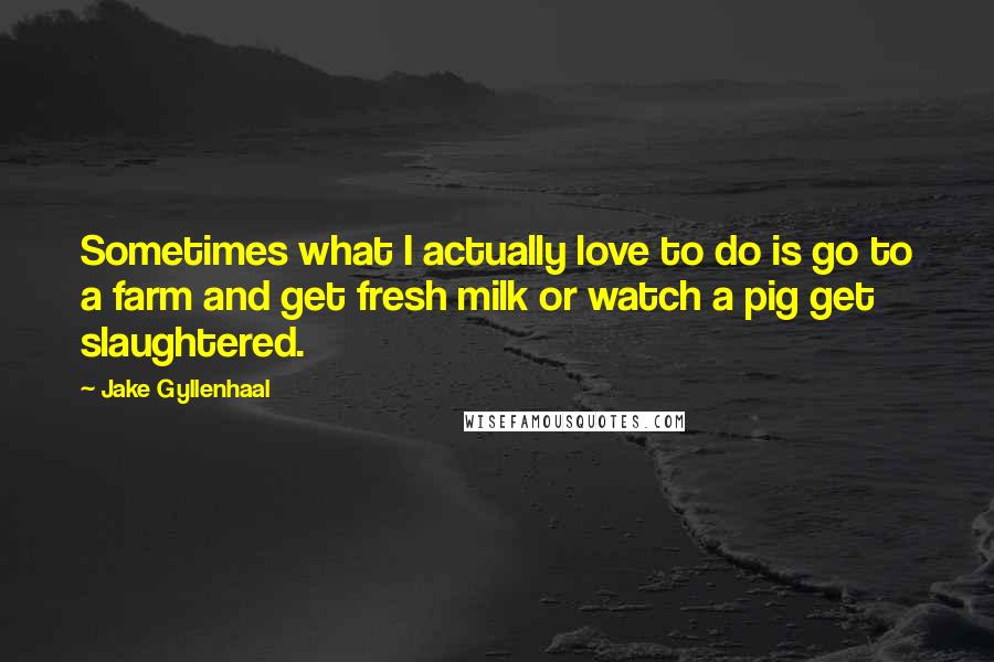 Jake Gyllenhaal Quotes: Sometimes what I actually love to do is go to a farm and get fresh milk or watch a pig get slaughtered.