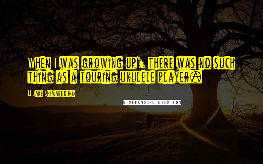 Jake Shimabukuro Quotes: When I was growing up, there was no such thing as a touring ukulele player.