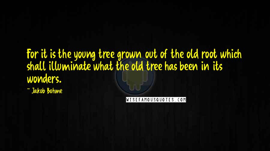 Jakob Bohme Quotes: For it is the young tree grown out of the old root which shall illuminate what the old tree has been in its wonders.