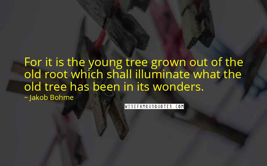 Jakob Bohme Quotes: For it is the young tree grown out of the old root which shall illuminate what the old tree has been in its wonders.