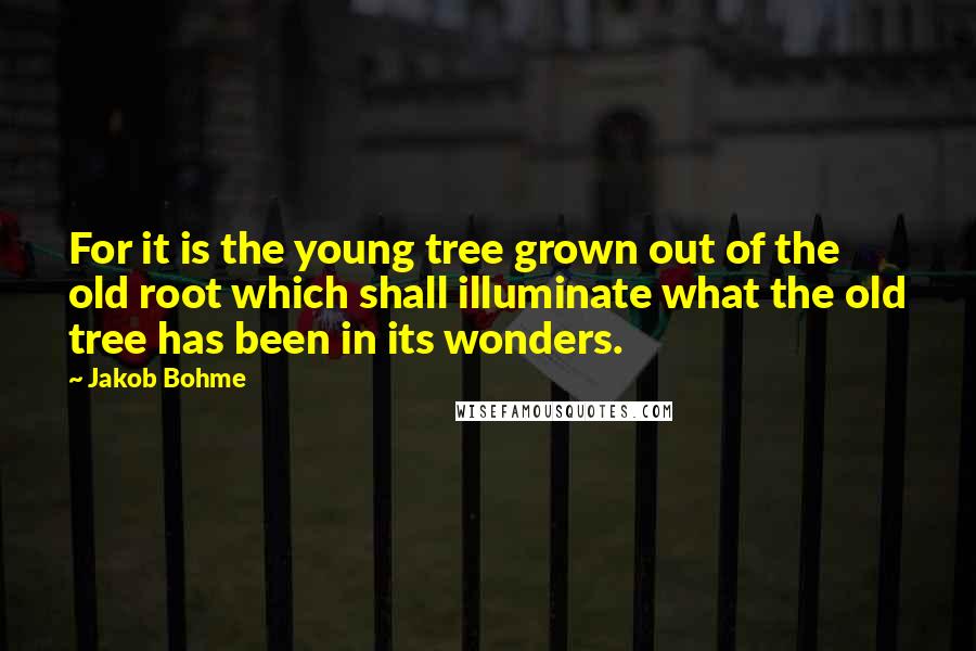 Jakob Bohme Quotes: For it is the young tree grown out of the old root which shall illuminate what the old tree has been in its wonders.