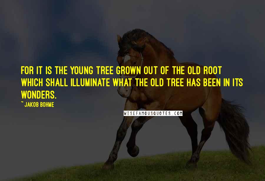 Jakob Bohme Quotes: For it is the young tree grown out of the old root which shall illuminate what the old tree has been in its wonders.