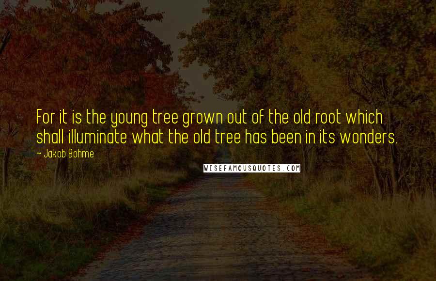 Jakob Bohme Quotes: For it is the young tree grown out of the old root which shall illuminate what the old tree has been in its wonders.