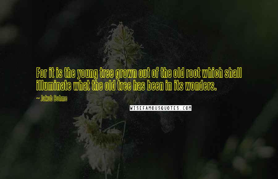 Jakob Bohme Quotes: For it is the young tree grown out of the old root which shall illuminate what the old tree has been in its wonders.