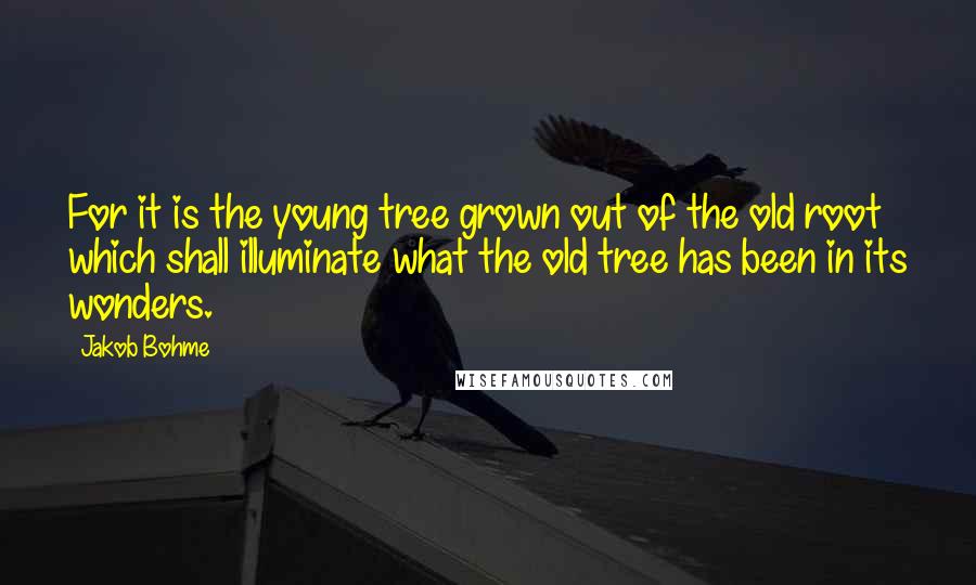 Jakob Bohme Quotes: For it is the young tree grown out of the old root which shall illuminate what the old tree has been in its wonders.