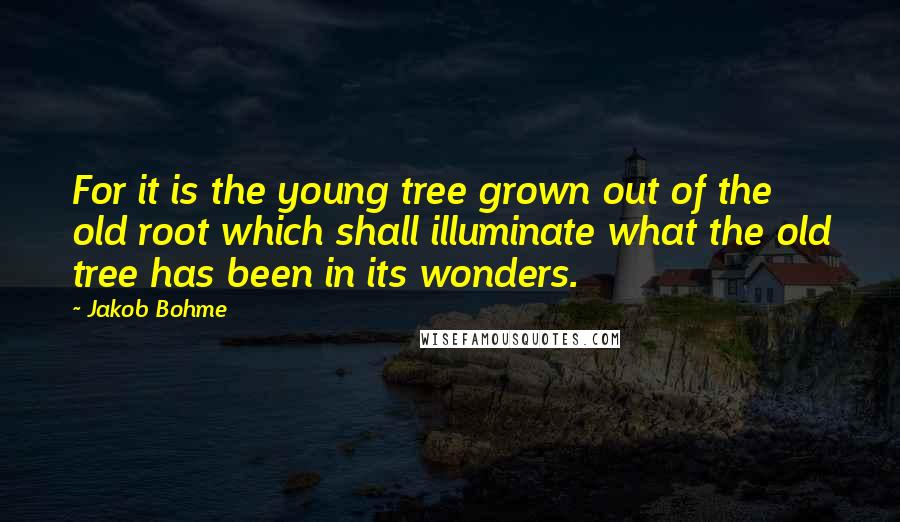 Jakob Bohme Quotes: For it is the young tree grown out of the old root which shall illuminate what the old tree has been in its wonders.