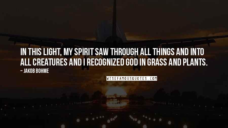 Jakob Bohme Quotes: In this light, my spirit saw through all things and into all creatures and I recognized God in grass and plants.