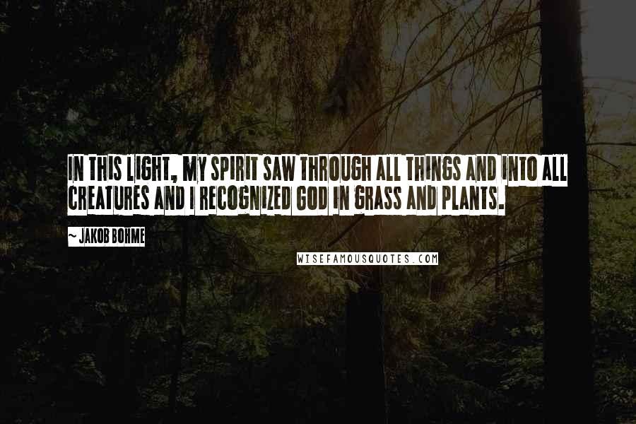 Jakob Bohme Quotes: In this light, my spirit saw through all things and into all creatures and I recognized God in grass and plants.