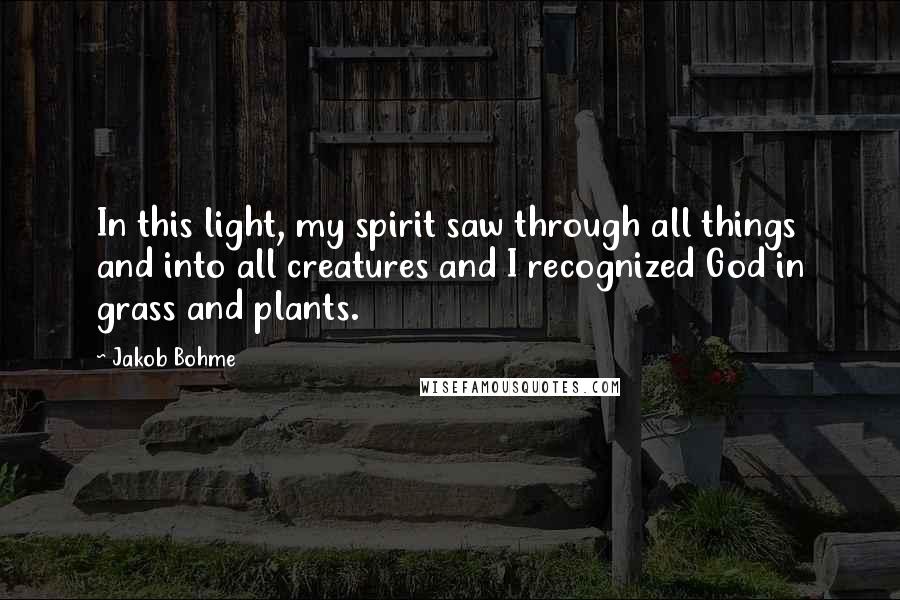 Jakob Bohme Quotes: In this light, my spirit saw through all things and into all creatures and I recognized God in grass and plants.