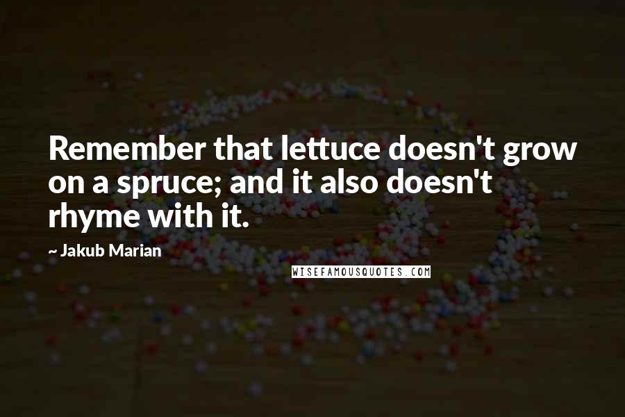 Jakub Marian Quotes: Remember that lettuce doesn't grow on a spruce; and it also doesn't rhyme with it.